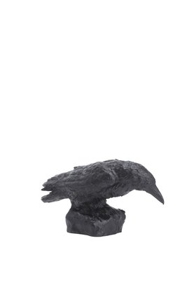 Rabe gebeugt, 80 Euro