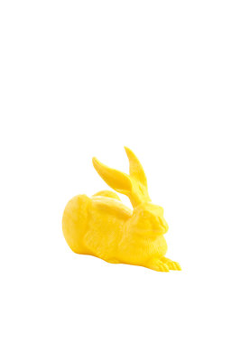 Dürer Hase, gelb, 6 Euro
