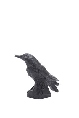 Rabe aufrecht, 80 Euro