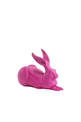 Dürer Hase, pink, 6 Euro