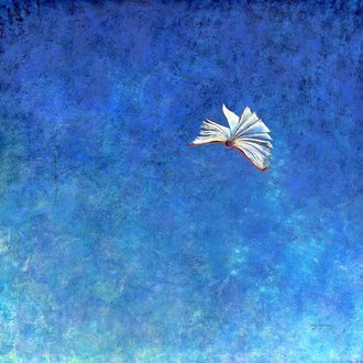 Unikat: fliegendes Buch 2, Acryl auf Leinwand, 95,5 x 95,5 cm, 2.800 Euro